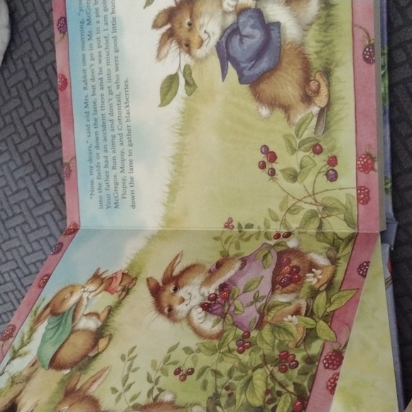 Peter Rabbit board book. - Picture 4 of 4